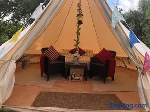 Glamping with Alpacas! - Alton Towers - Image 5