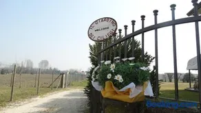 Il Giardino dei Ciliegi appartamento con 3 camere - Image 1