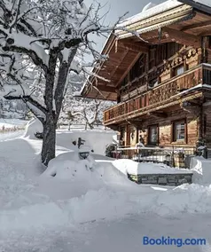 Alpen-Chalet-Pankraz - Image 3
