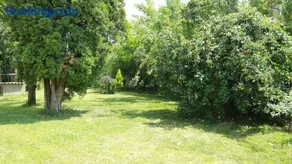 Home Tara - Image 2