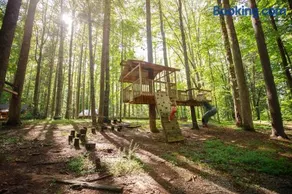 Saluda Summit Cabin at Cabin Fever - Image 2