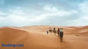 camel riding - Image 4