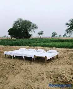 Joon Farm - Image 4