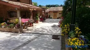 B&B Il Cavallino - Image 4