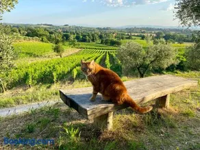 Agriturismo Metina - Image 3