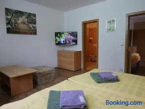 Pension Aspen Harrachov - Image 2