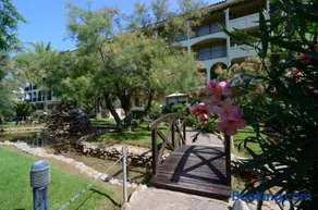 Jardins del mar 127 - Image 5