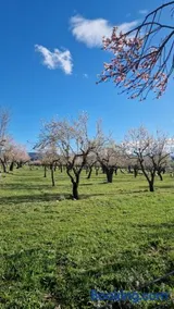 Casa albañil, aptos en la Ribagorza, arte, ciclismo, naturaleza y enoturismo, entre Graus y Torreciudad - Image 1