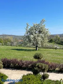 Kosmaj-Suncani Breg - Image 2