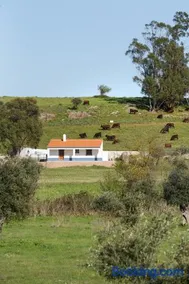 Monte de Matacães - Image 4