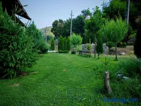 Taverna Gradetului - Image 2