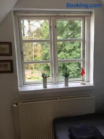 Ro i skoven - men tæt på byen - Image 4