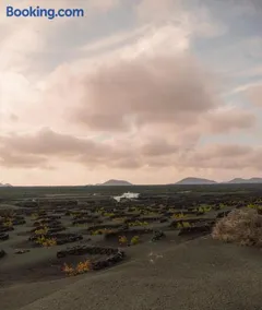 Canaryislandshost I Viñedos - Image 1