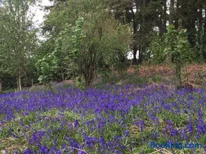 University Walk - Image 5