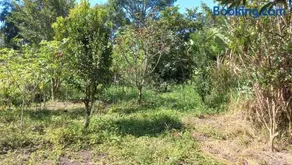 Rancho dos Bicego - Image 3