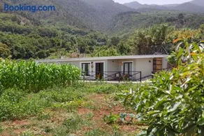 Finca El Llano - Los Parrales - Image 3