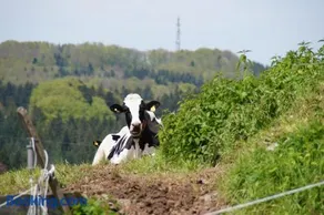 Bushof - Leben auf dem Land - Image 1