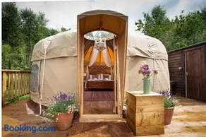 Hazel Tree Yurt - Eavestone Lake - Image 4