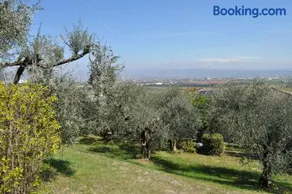 LA CASA TRA GLI OLIVI - Image 2
