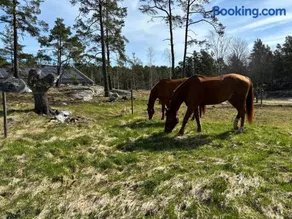 Cabin retreat in the archipelago - Image 1