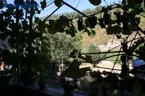 Guest House Nima - Image 3