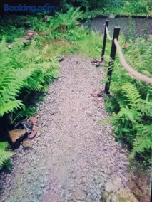 Abenteuerurlaub im Tannenwald - Image 2