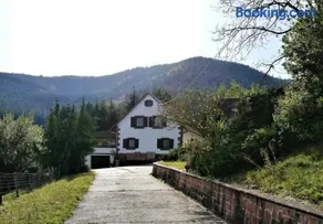 Gîte des abeilles du Kohlberg - Image 1