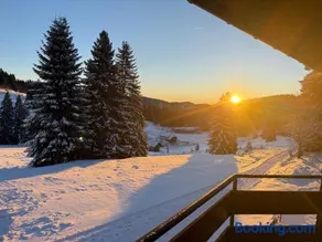 Mitten auf dem Feldberg Panorama Apartment Bergglück - Image 3