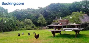 Bed & Breakfast Markelo - Image 1