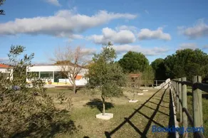 Monte Macário Alojamento Local - Image 5