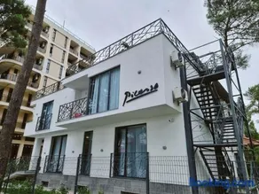 Picasso - Image 1