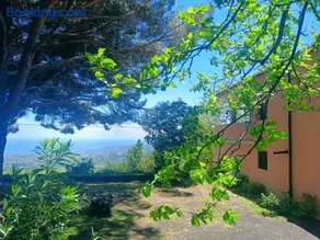 Etna Antico palmento - Image 2