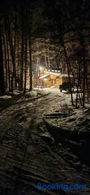 Cabin in the pines - Image 5