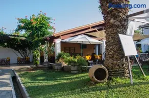 Zografia - Image 2