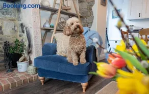 Rose Cottage by Coast & Country Stays - Image 3