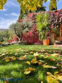 Retiro en la Alpujarra - Image 2
