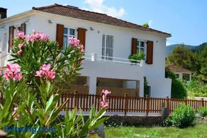 Metropolis Villa - Image 2