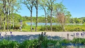 Lakeview Retreat - Image 3
