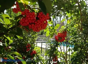 Lodges & Nature - 47 - Image 2
