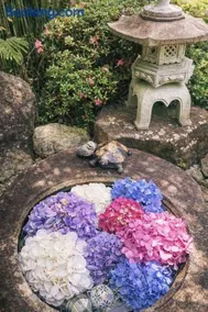 ガーデンリゾート 潮美庵 - Image 4