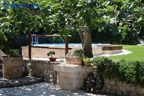 Il Canto degli Uccelli - Image 2