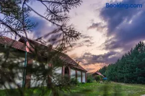 Noclegi Przylesie - Image 5