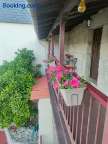 CASA JS - Image 2