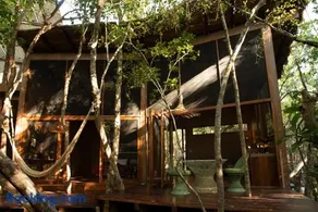 OJO DE ÁRBOL, boutique cabin in the real jungle - Image 2
