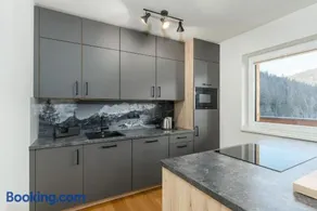 Franz Johann Appartement SKI-IN SKI-OUT by Schladming-Appartements - Image 3