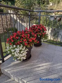 Apartman "Anna" - Image 1