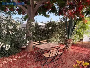 The Hidalga's cozy house - Image 4