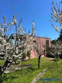 Seta Forest House - Image 2