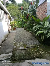 CASA VICTORIA PiJAO - Image 3