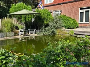 Het Pauwtje - Image 1